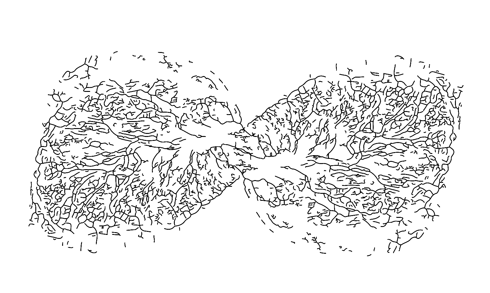 Large organic METAMOR concept linework pattern