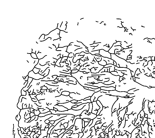 A cropped detail of the pattern isolating a single branching cluster