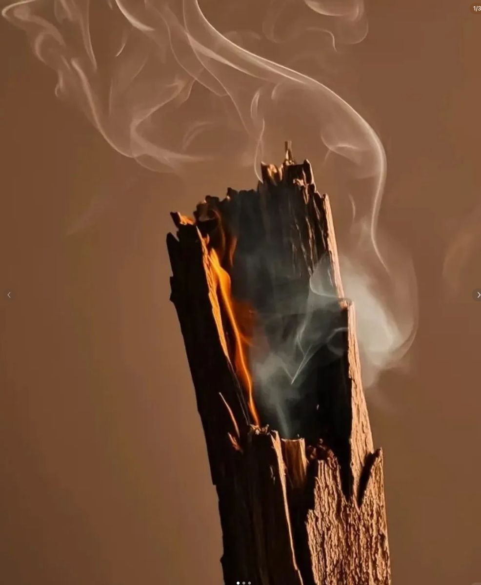 Smoke rising from burning wood
