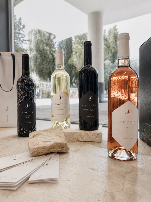 METAMOR bottle family final presentation